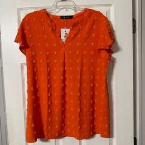 NWT Merokeety Dotted Swiss V neck Blouse
